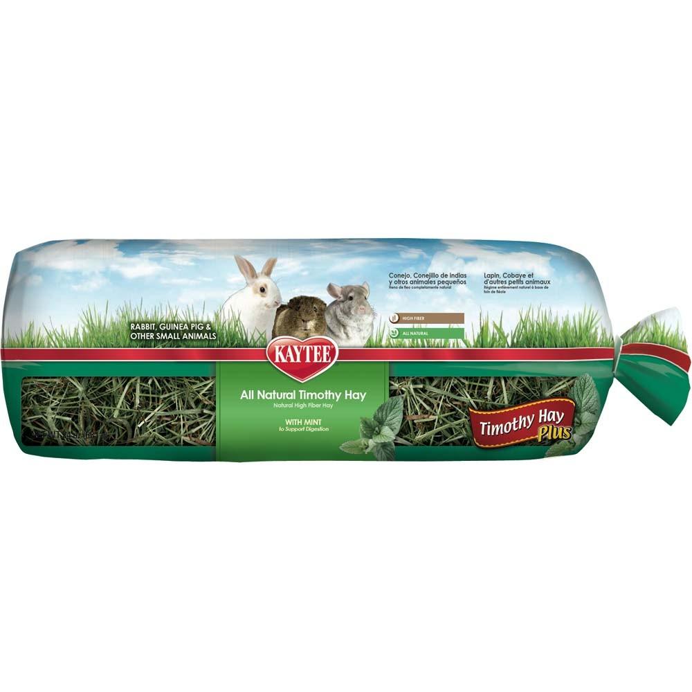 Kaytee Timothy Hay Plus Mint 24oz