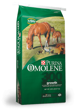 PURINA OMOLENE 300 HORSE FEED