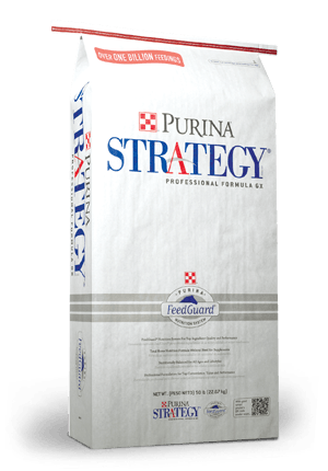 PURINA STRATEGY GX HORSE FEED