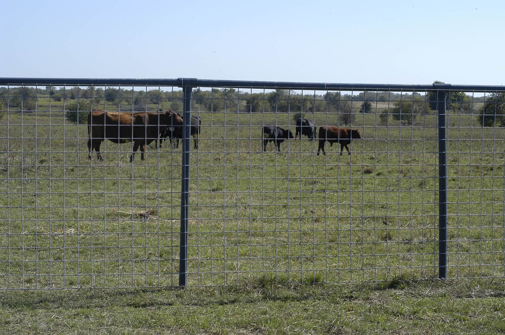 OK Brand Cattle Panel 